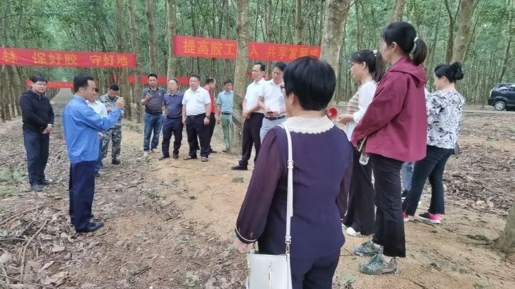 全國割膠冠軍張健給各單位學員做標準化膠園建設及割膠技術的經驗介紹。.jpg