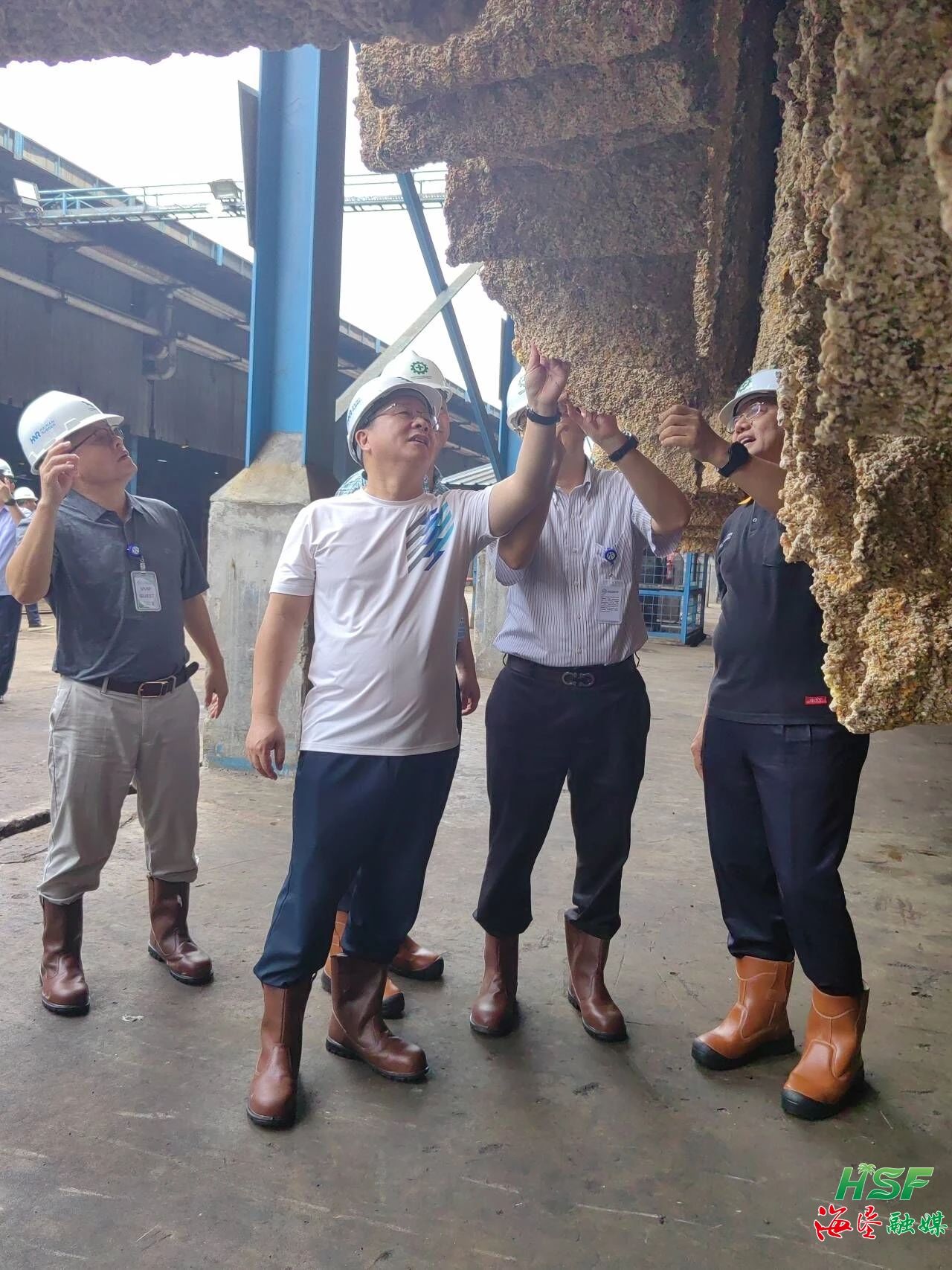 包洪文一行調(diào)研合盛農(nóng)業(yè)SGO加工廠。